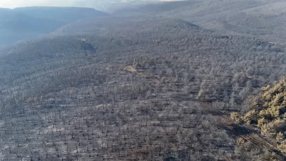 Tekirdağ'da orman yangınından etkilenen alanlar havadan görüntülendi
