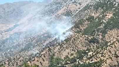 Bingöl’deki orman ve arazi yangınları söndürüldü
