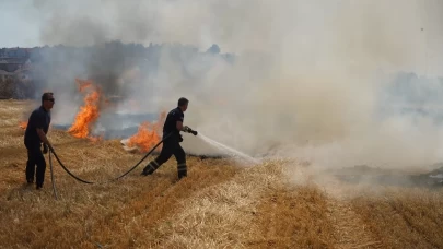 Edirne'de çıkan anız yangını söndürüldü