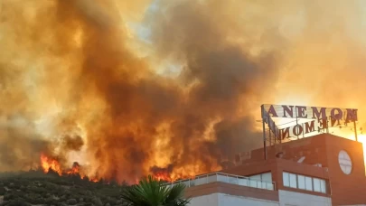 Manisa Valisi Özkan: "Yerleşim birimleri ve organize sanayi bölgesine yakın olan yangınla ilgili tüm tedbirleri aldık"