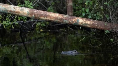Trump'ın timsah ve pitonlarla dolu gözaltı adası açılıyor!