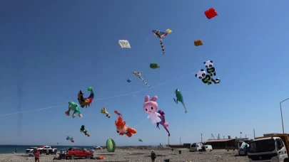 Tekirdağ'da "Uçurtma Festivali" gökyüzünü renklendirdi