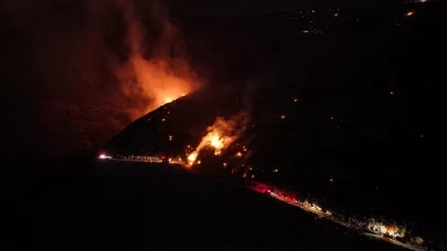 Hatay'daki orman yangınına müdahale sürüyor