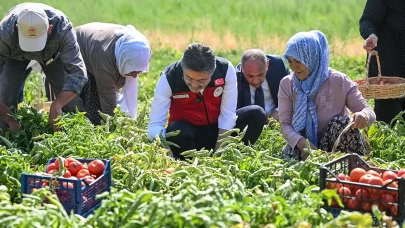 Bakan Yumaklı hasada katıldı!