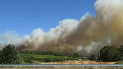 Çanakkale'de tarım arazisinde yangın