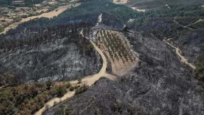 Çanakkale'de şaşırtan görüntü!