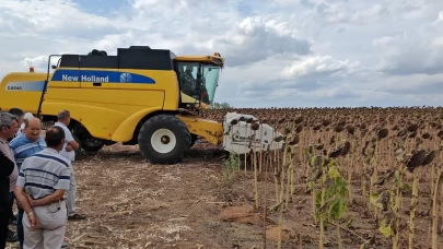 Tekirdağ'da anıza ekim ayçiçeği projesinde tarla günü düzenlendi