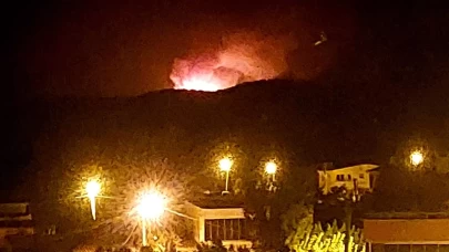 Çanakkale'de orman yangını! Alevler rüzgarla yayıldı