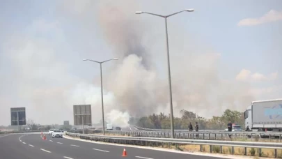 Kırklareli'nde orman yangını! Avrupa Otoyolu trafiğe kapatıldı