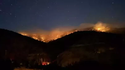 Bakan Yumaklı art arda gelen orman yangınlarının son durumunu paylaştı!