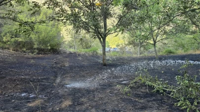 Bolu'da yangın paniği! Ormana sıçramadan söndürüldü