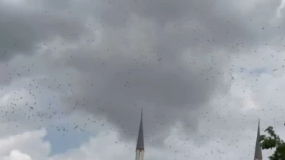 Güneye göç eden yüzlerce leylek İstanbul semalarında