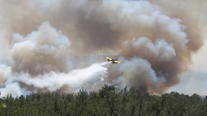 Çanakkale'de alevler yeniden yükseldi