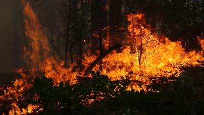 Karabük, Bartın, Denizli... 3 ilde orman yangını! Havadan ve karadan müdahale sürüyor