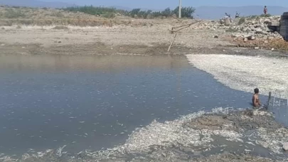 Hatay'da su seviyesi azaldı, balık ölümleri arttı