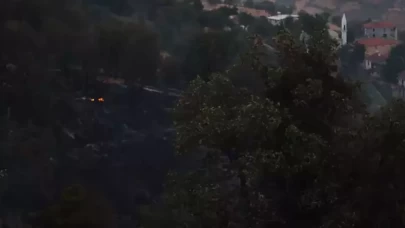 Malatya'daki orman yangını söndürüldü