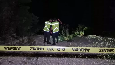 Bolu Dağı'nda frenleri boşalan minibüs uçuruma yuvarlandı: 1 yaralı