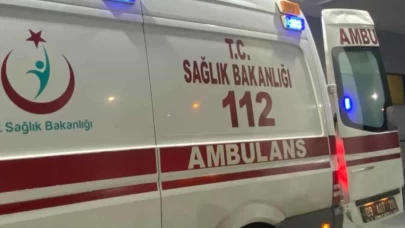 Aydın'da akıl almaz olay! Komşusunu domuz sanıp vurdu