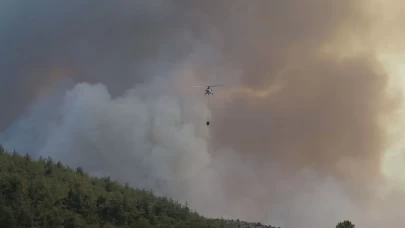 Bursa'da çıkan orman yangınına müdahale ediliyor