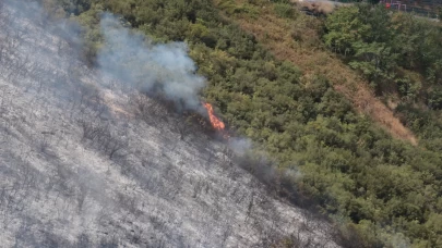 Kocaeli'de ağaçlık ve makilik alanda yangın