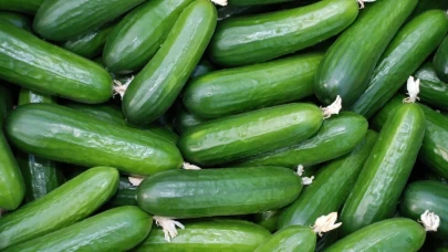 Salatalıkta Tazeliğin Sırrı: Haftalarca Çıtır Çıtır Kalmanın Yöntemi!