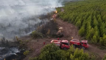 Osmaniye’de çıkan orman yangını söndürüldü