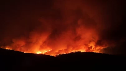 Çanakkale'de alevler geceyi aydınlattı, o anlar dronla görüntülendi