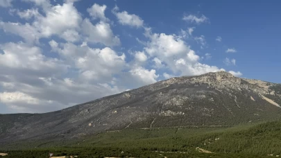 Pamukkale'deki orman yangını kontrol altına alındı