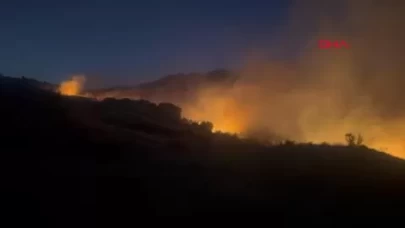 Diyarbakır’da çıkan örtü yangını, 3 saatte söndürüldü