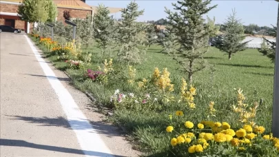 Malazgirt Zaferi’nin 954. yılına 1071 fidanla kutlama