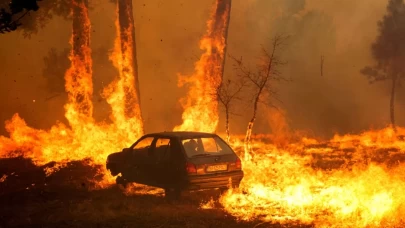 Portekiz, tarihinin en büyük orman yangınlarıyla mücadele ediyor