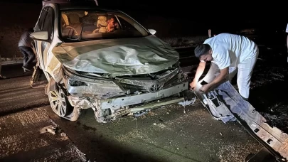 Yola çıkan hayvana çarpmamak için manevra yapan araç beton duvara çarptı