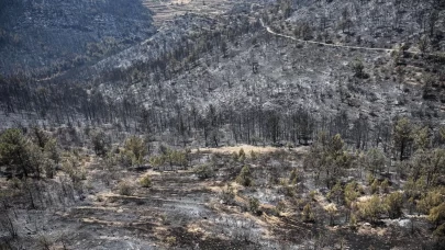 Mersin Silifke'deki orman yangınıyla ilgili yeni gelişme