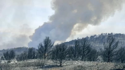 Kontrol edilemeyen yangın 16 bin hektarı yok etti