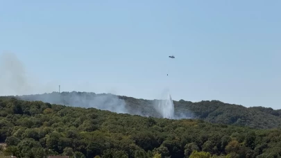 Sarıyer'de ormanlık alanda yangın