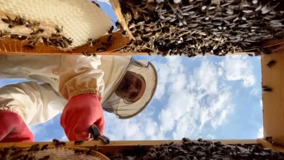 Bakan Yumaklı AB'den tescillendi Bingöl balının ilk hasadını yaptı