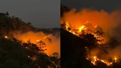Buldan’da sarp arazide orman yangını çıktı