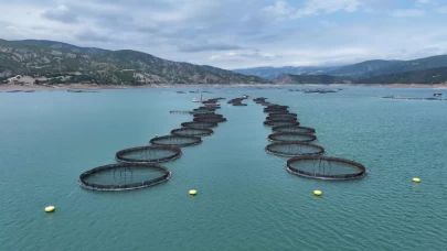 Tokat'tan 29 ülkeye balık ihraç edildi