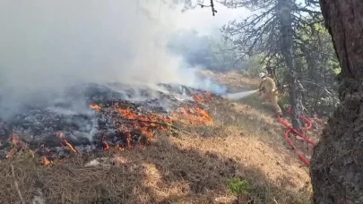 Bolu'da orman yangını!