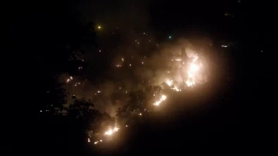 Köşk'te çıkan orman yangınına müdahaleler sürüyor