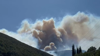 Kocaeli'de orman yangını