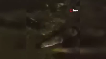 Su samurunu görüntüleyen vatandaş: "Yaradana kurban olayım"