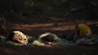 Yeşil vatanın kahramanları!