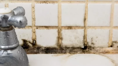 Banyodaki küfleri 5 dakikada temizleyen karışım!