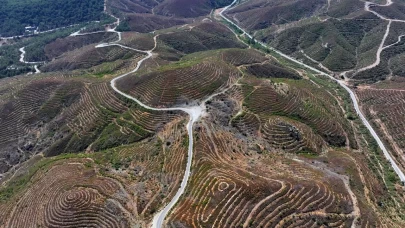 İzmir yeniden yeşerdi!