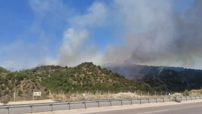 Tokat'ta orman yangını!