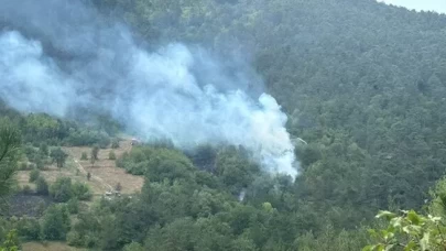 Bolu'da orman yangını!