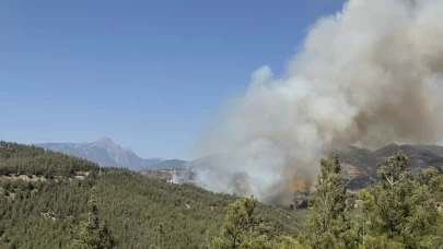 Osmaniye'de orman yangını çıktı