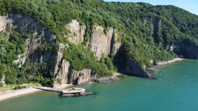 Doğanın 80 milyon yıllık sanatı