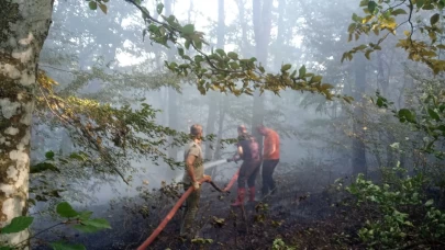 Kırklareli'de orman yangını paniği: Ekipler ve köylüler beraber müdahale etti
